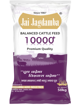 Jai Jagdamba 10000+ Balanced Cattle Feed