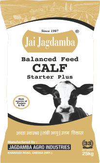 Jai Jagdamba Calf Starter Feed