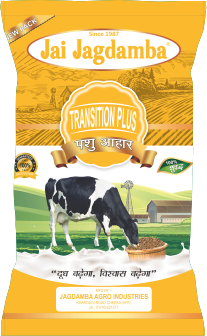 Jai Jagdamba Transition Plus
